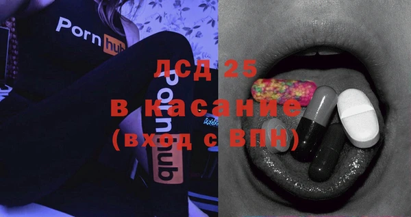 шишки Заводоуковск
