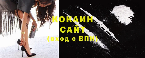 шишки Заводоуковск