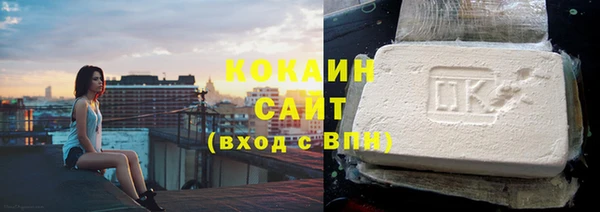 шишки Заводоуковск