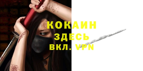 шишки Заводоуковск