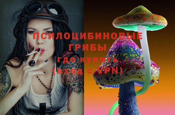 PSILOCYBIN Заволжск