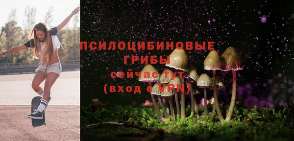 шишки Заводоуковск