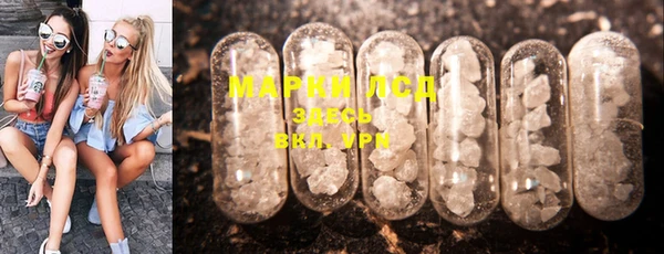 PSILOCYBIN Заволжск
