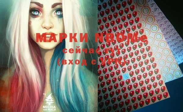 шишки Заводоуковск