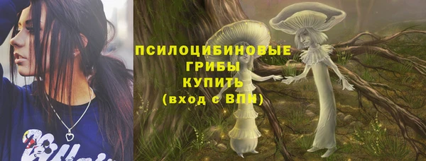 PSILOCYBIN Заволжск