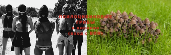 PSILOCYBIN Заволжск