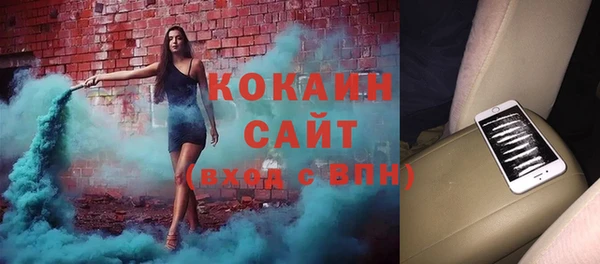шишки Заводоуковск