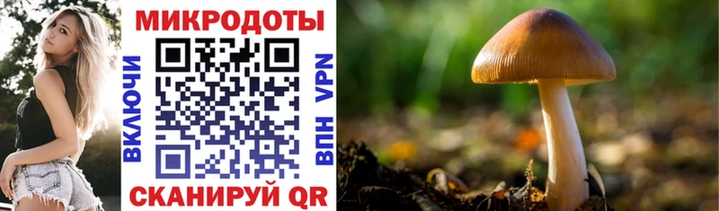 Купить закладки  Мантурово  Псилоцибиновые грибы мухоморы 